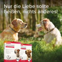 Produktbild beaphar Fiprotec für Hunde