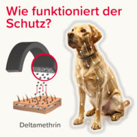 Produktbild beaphar Fiprotec für Hunde