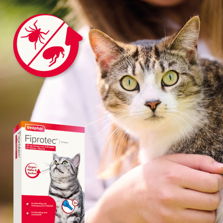 Produktbild beaphar Fiprotec für Katzen