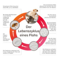 Produktbild beaphar Fiprotec für Hunde