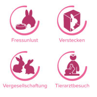 Produktbild beaphar RabbitComfort