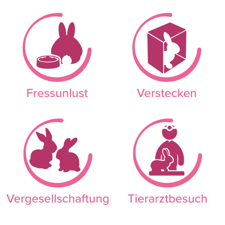 Produktbild beaphar RabbitComfort