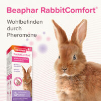 Produktbild beaphar RabbitComfort