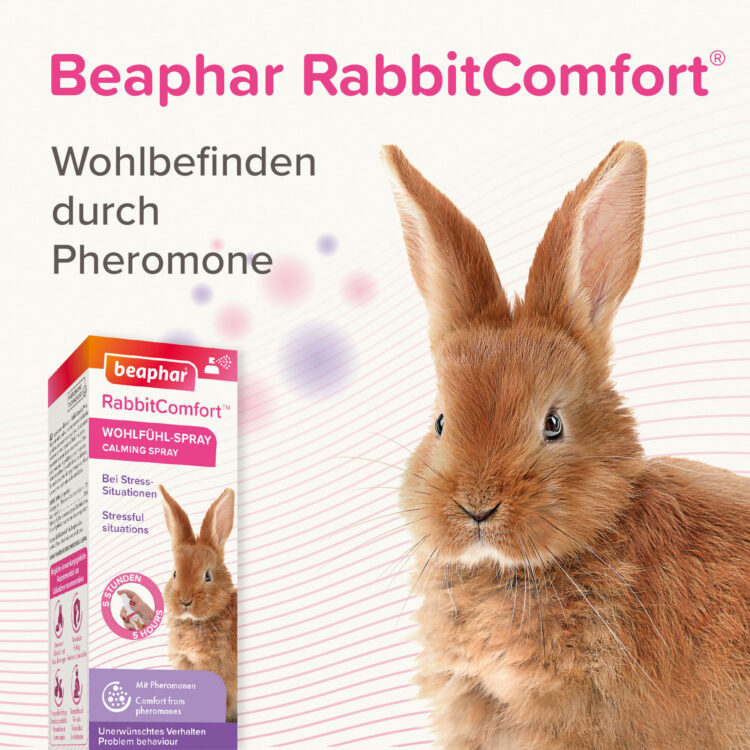 Produktbild beaphar RabbitComfort