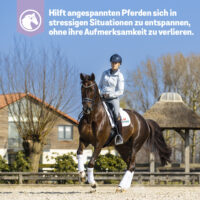 Produktbild PrimeVal StressLess® Paste