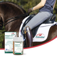 Produktbild PrimeVal Gelantinaat Liquid