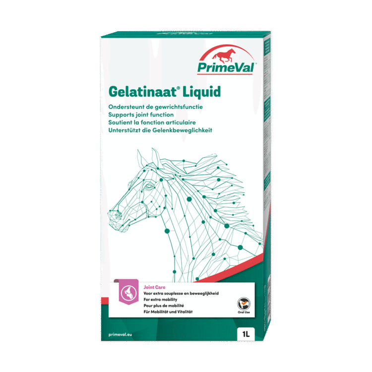 Produktbild PrimeVal Gelantinaat Liquid